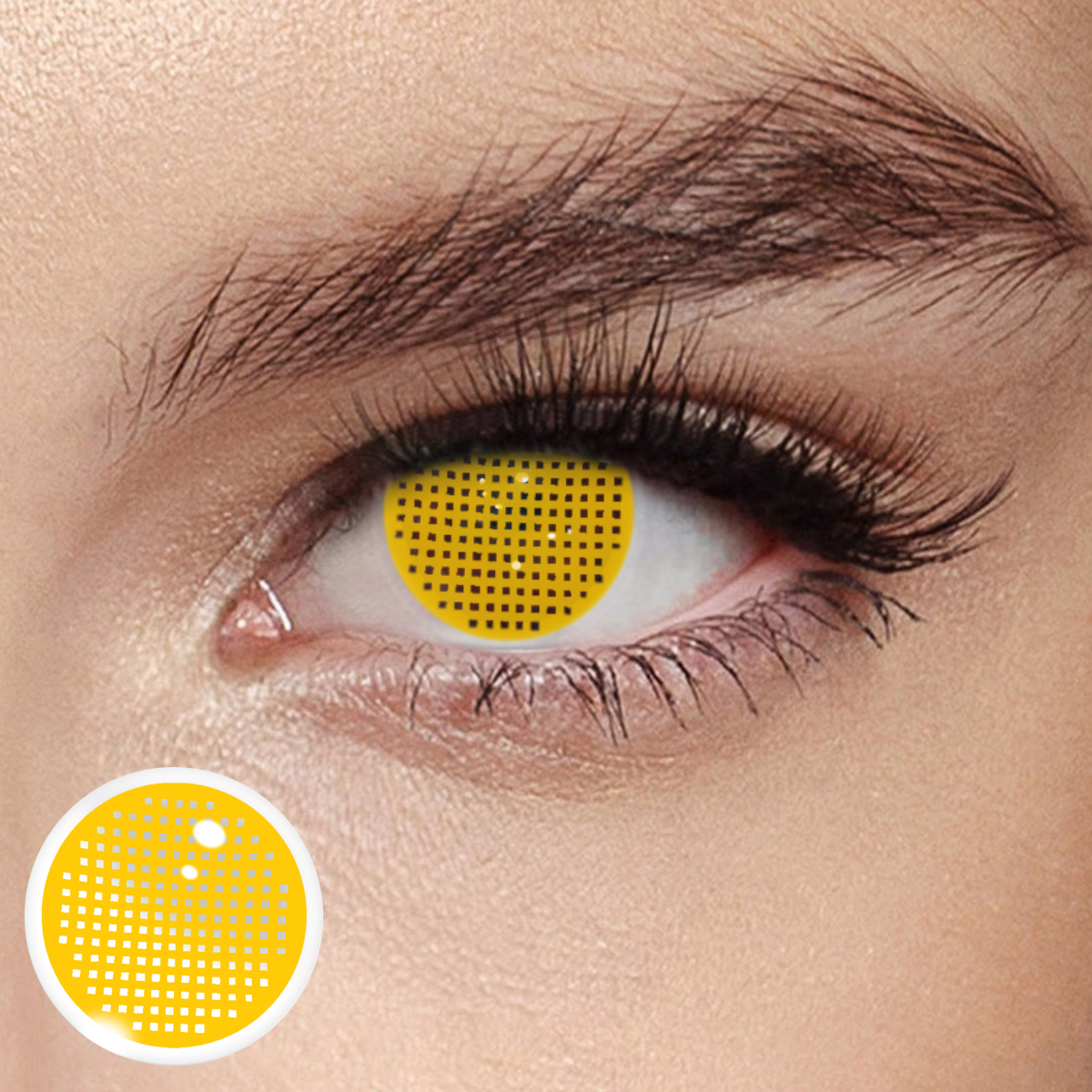 Akiwaii Screen Brown [Yearly]