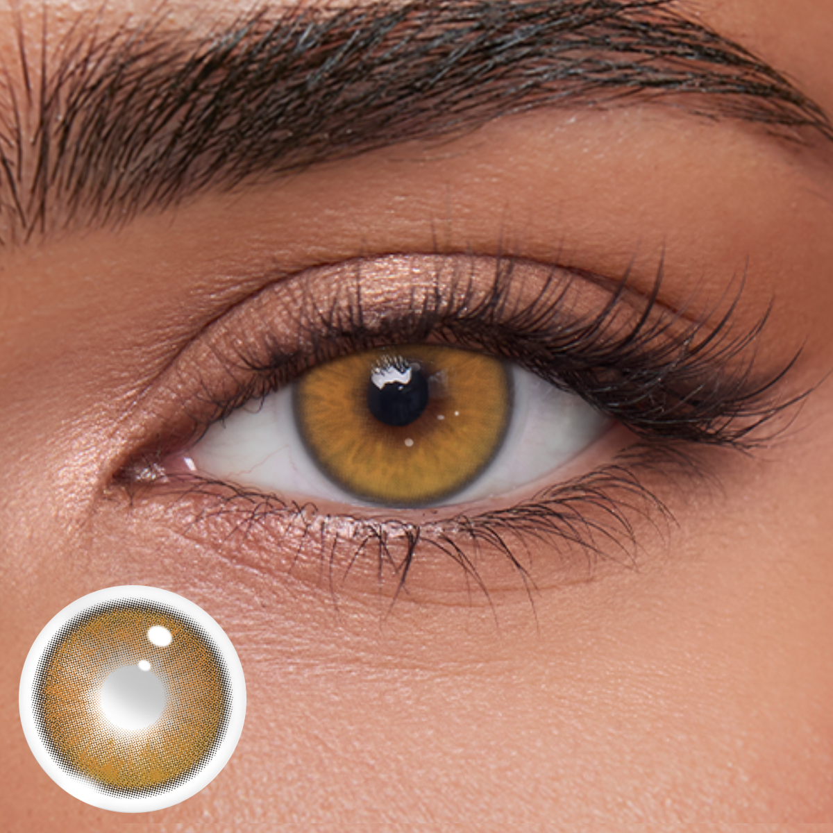 Akiwaii Zephira Brown[6-month-wear]