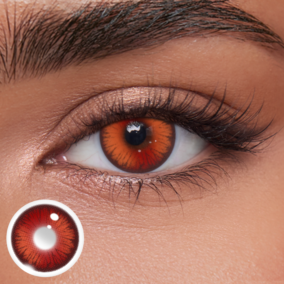 Akiwaii Vetra Red [Yearly]