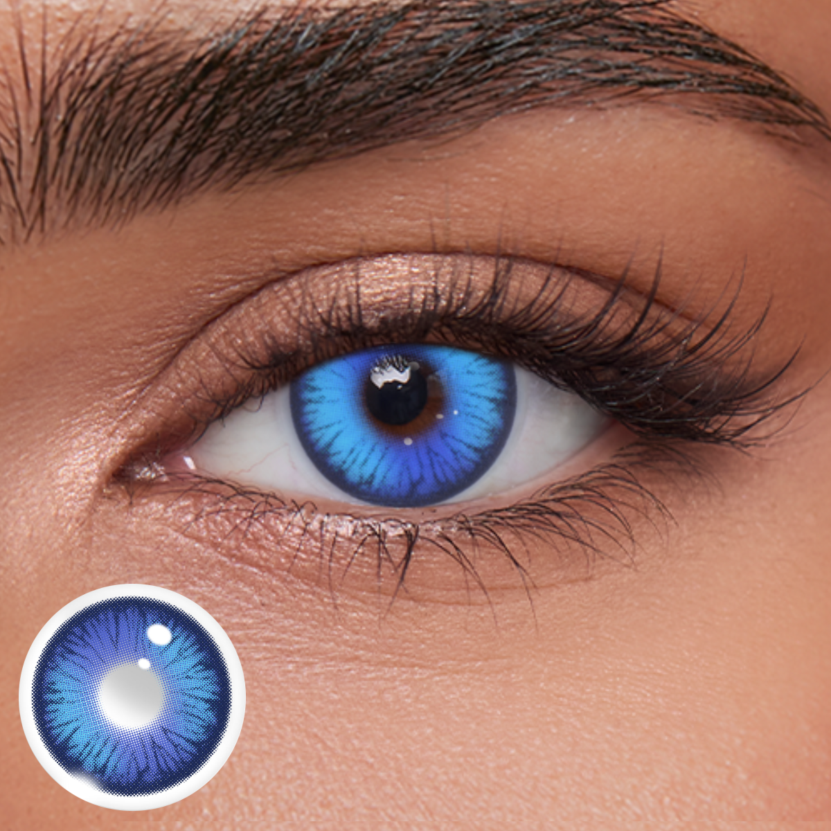 Akiwaii Vetra Purple [Yearly]