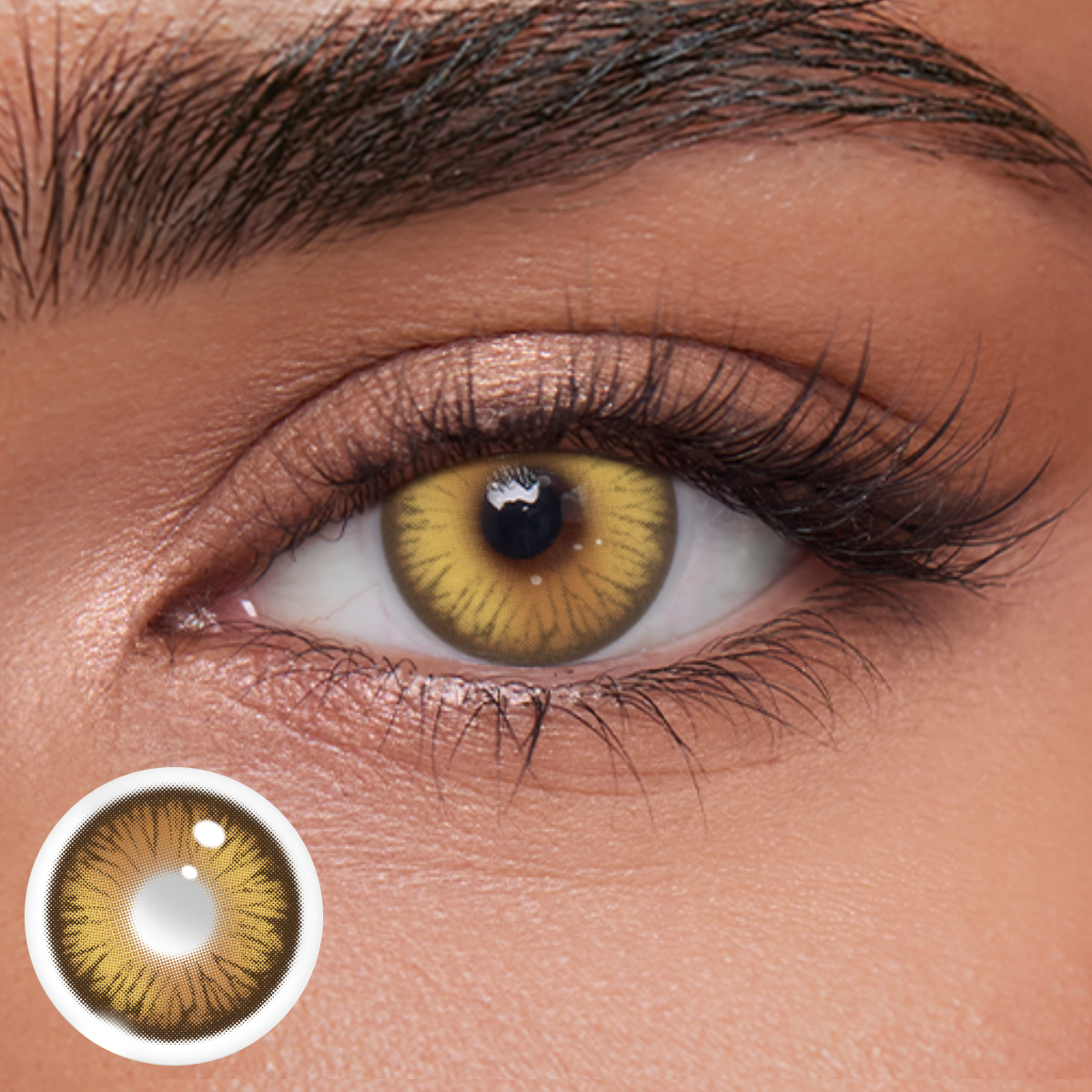 Akiwaii Vetra Brown [Yearly]