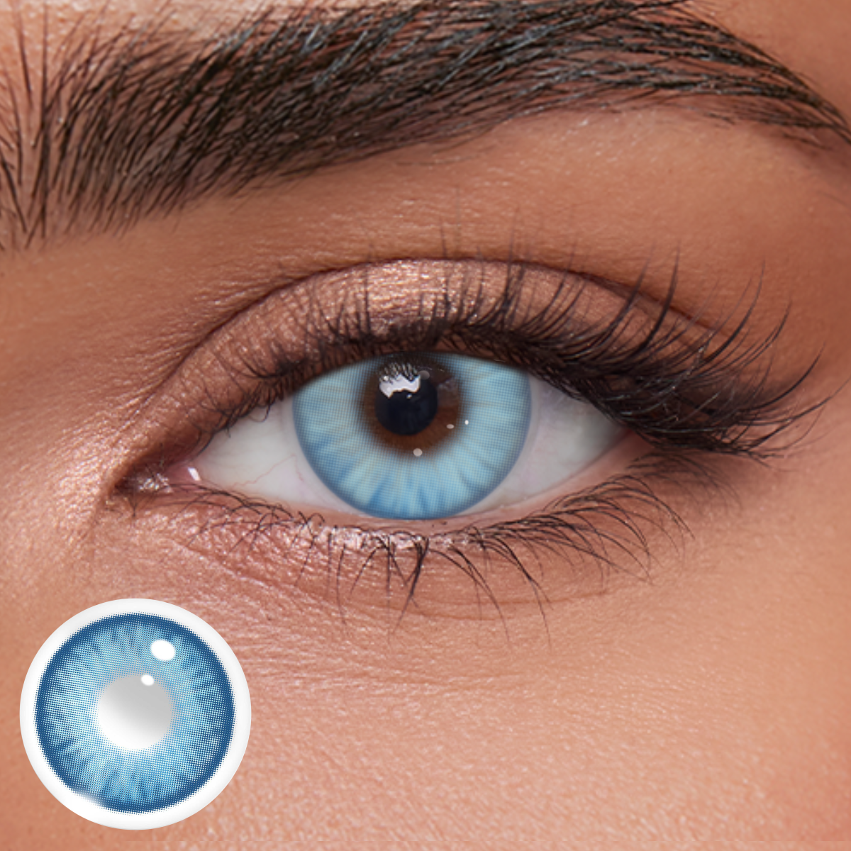 Akiwaii Serenia Blue[Yearly]