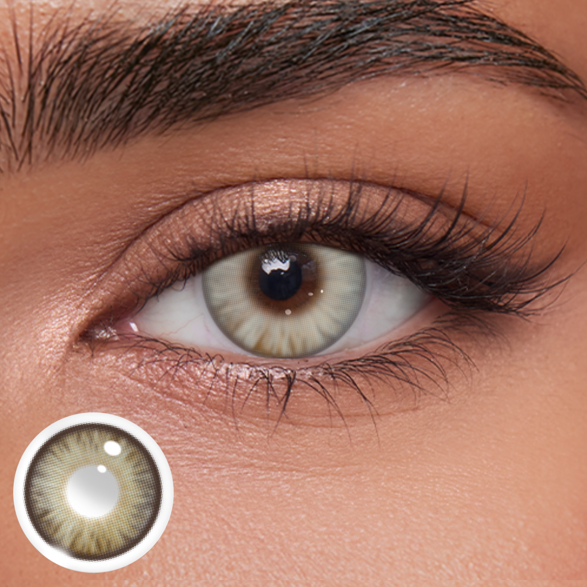 Akiwaii Serenia Brown[Yearly]