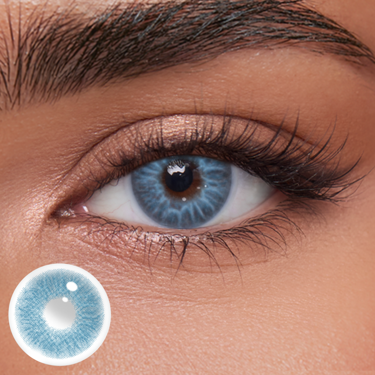 Akiwaii Velin Blue [Yearly]