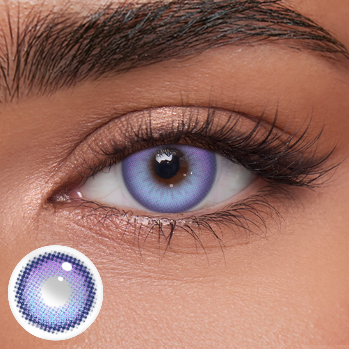 Akiwaii Blythe Purple[Yearly]