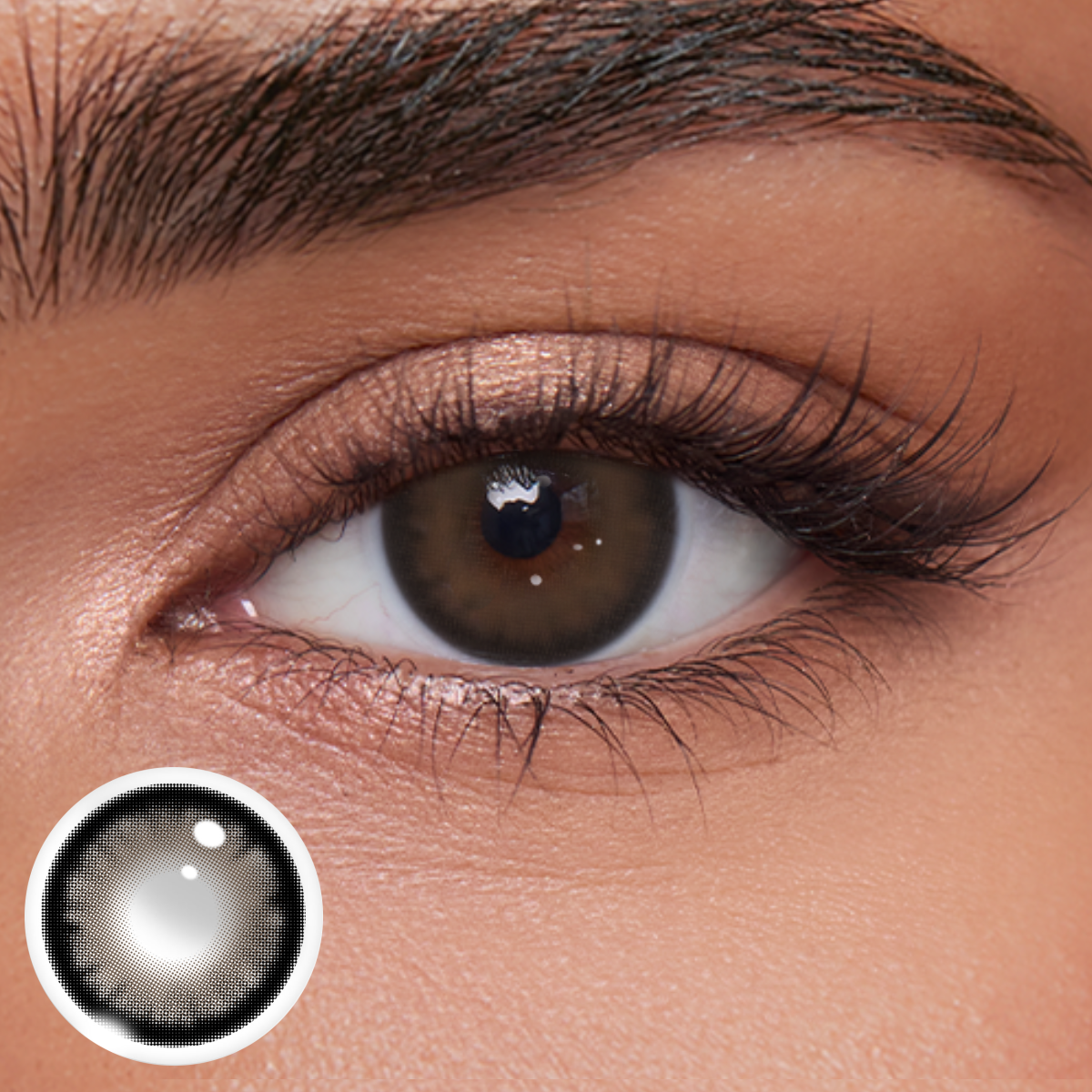 Akiwaii Thira Brown [Yearly]