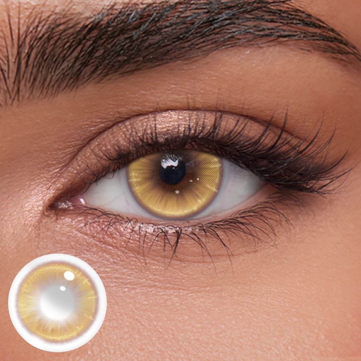 Akiwaii Limora Brown[Yearly]