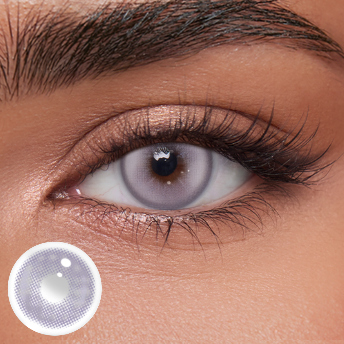 Akiwaii Lavone Purple[6-month-wear]