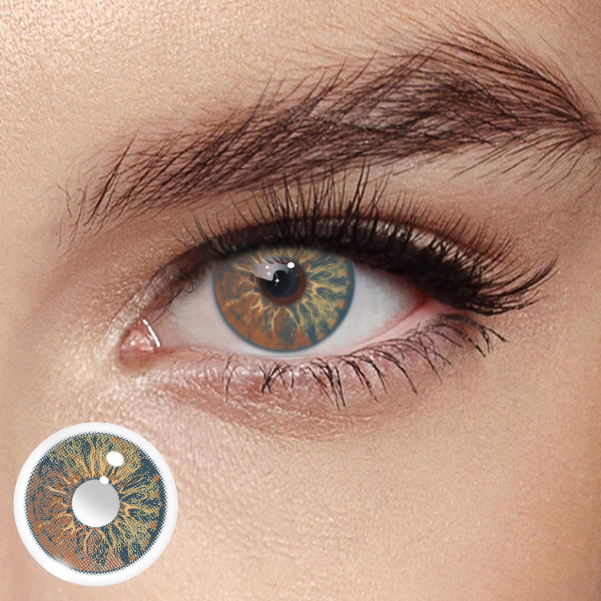 Akiwaii Orbit Brown[Yearly]