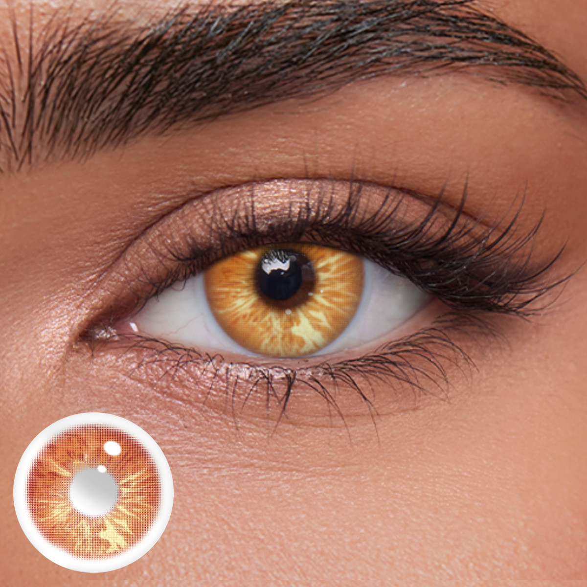 Akiwaii Emberwood Brown [Yearly]