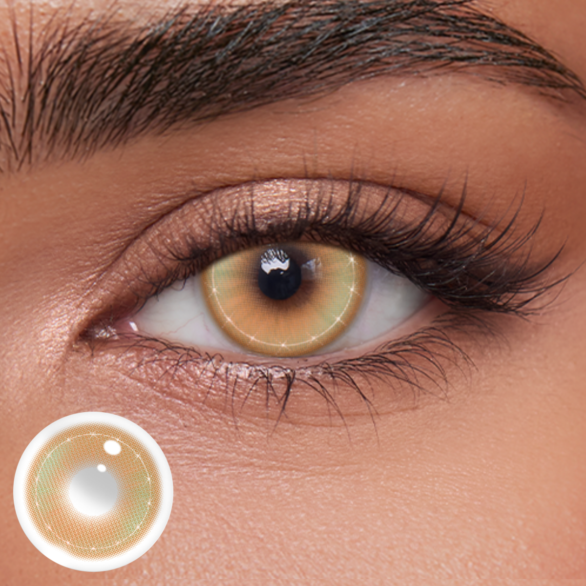 Akiwaii Thalassa Brown [Yearly]