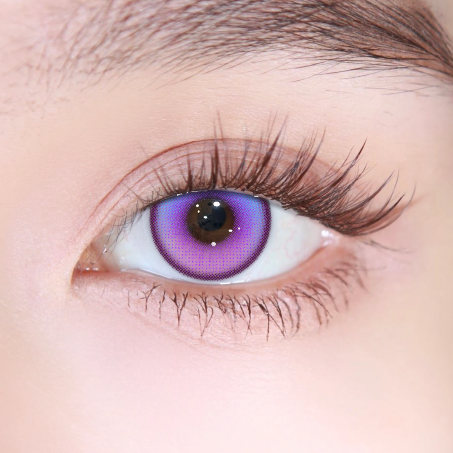 Akiwaii Coastal Purple [Yearly]