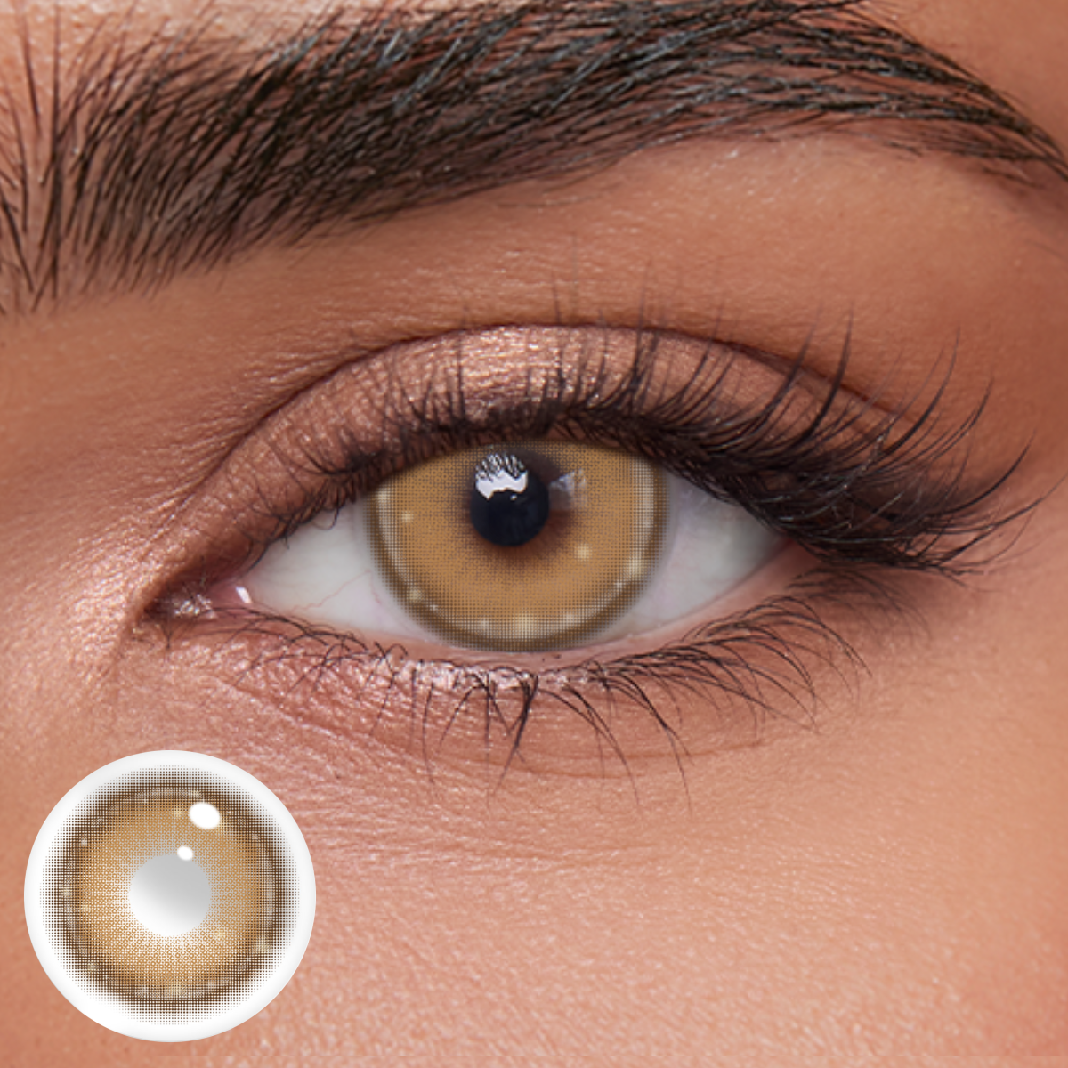 Akiwaii Meloria Brown [Yearly]