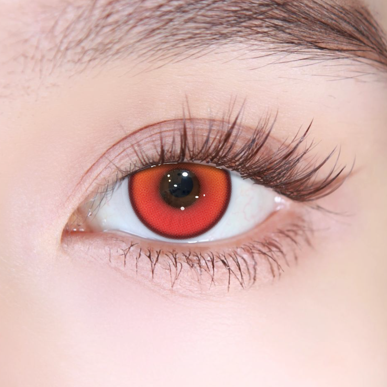 Akiwaii Coastal Red [6-month-wear]