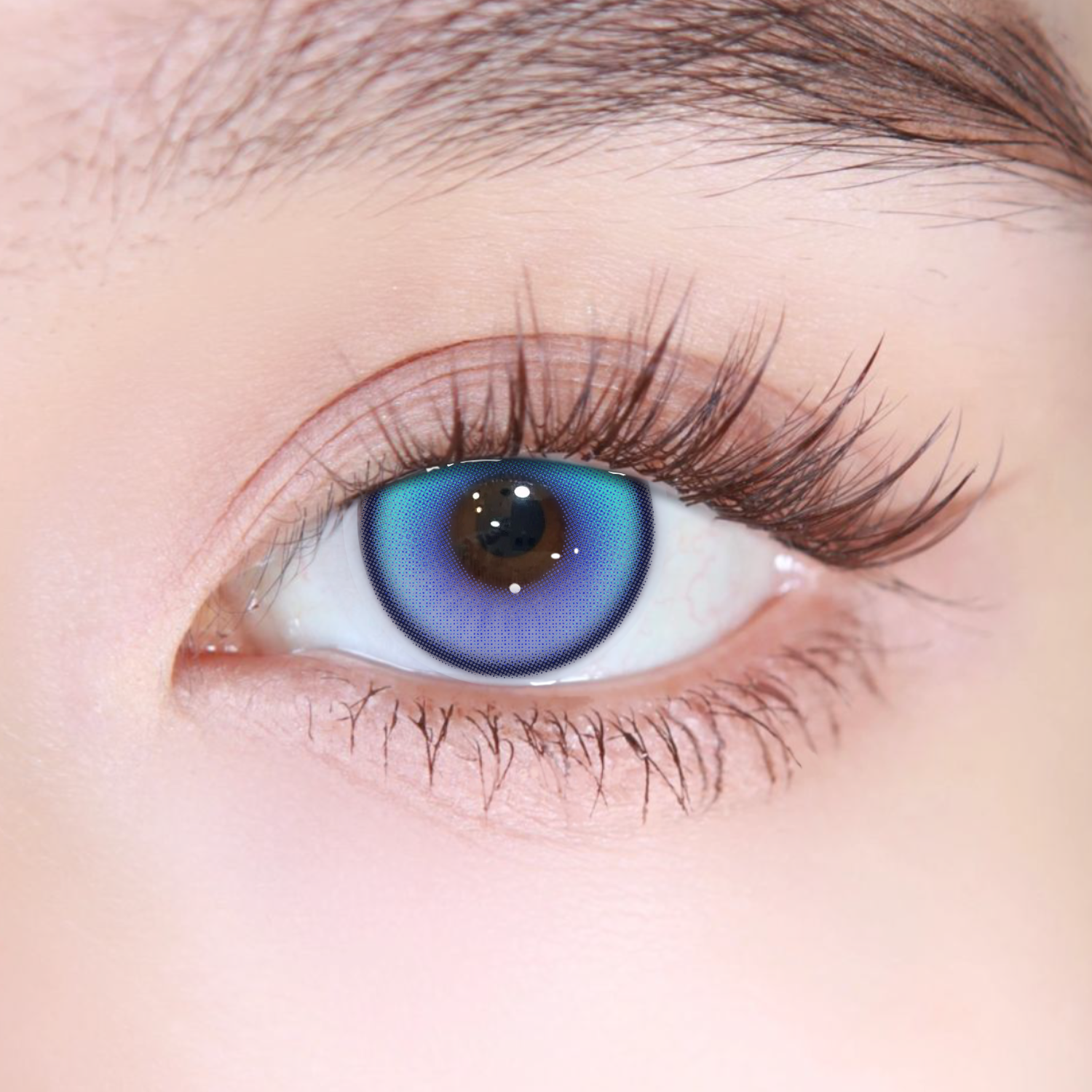 Akiwaii Coastal Blue [6-month-wear]