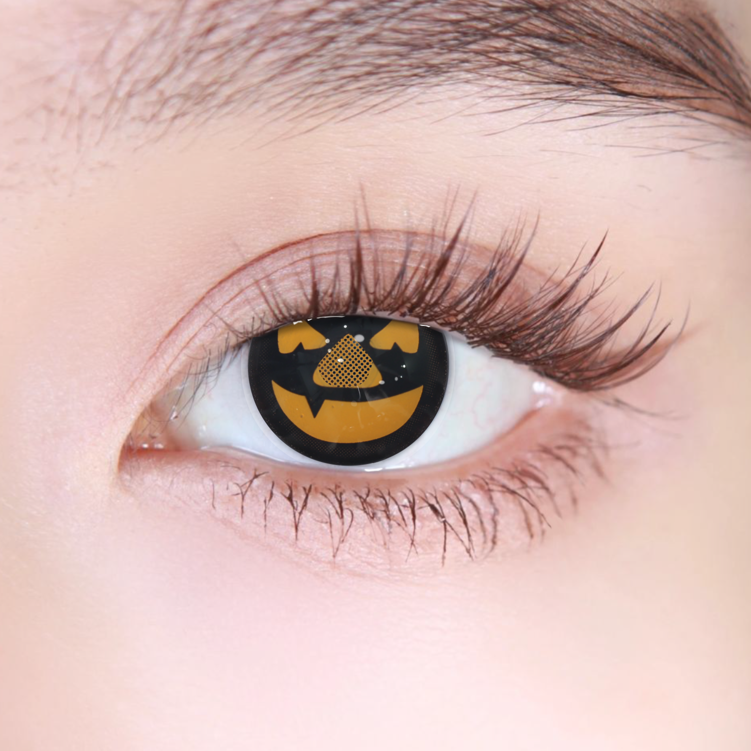 Akiwaii Rapture Pumpkin [Yearly]