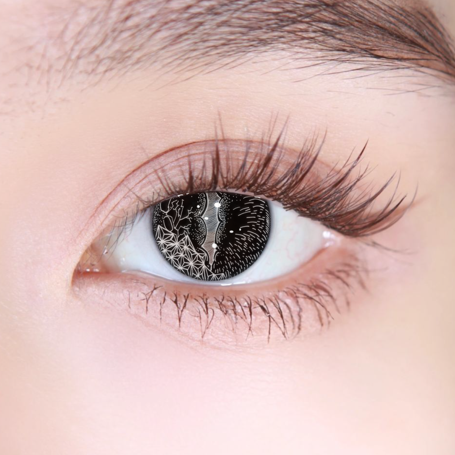 Akiwaii Basilisk Black [6-month-wear]