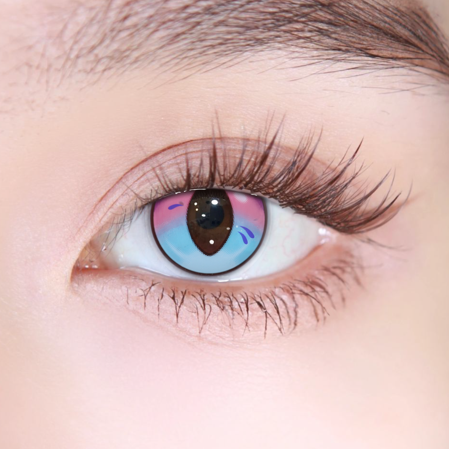 Akiwaii Bluebell Blue-Pink [Yearly]