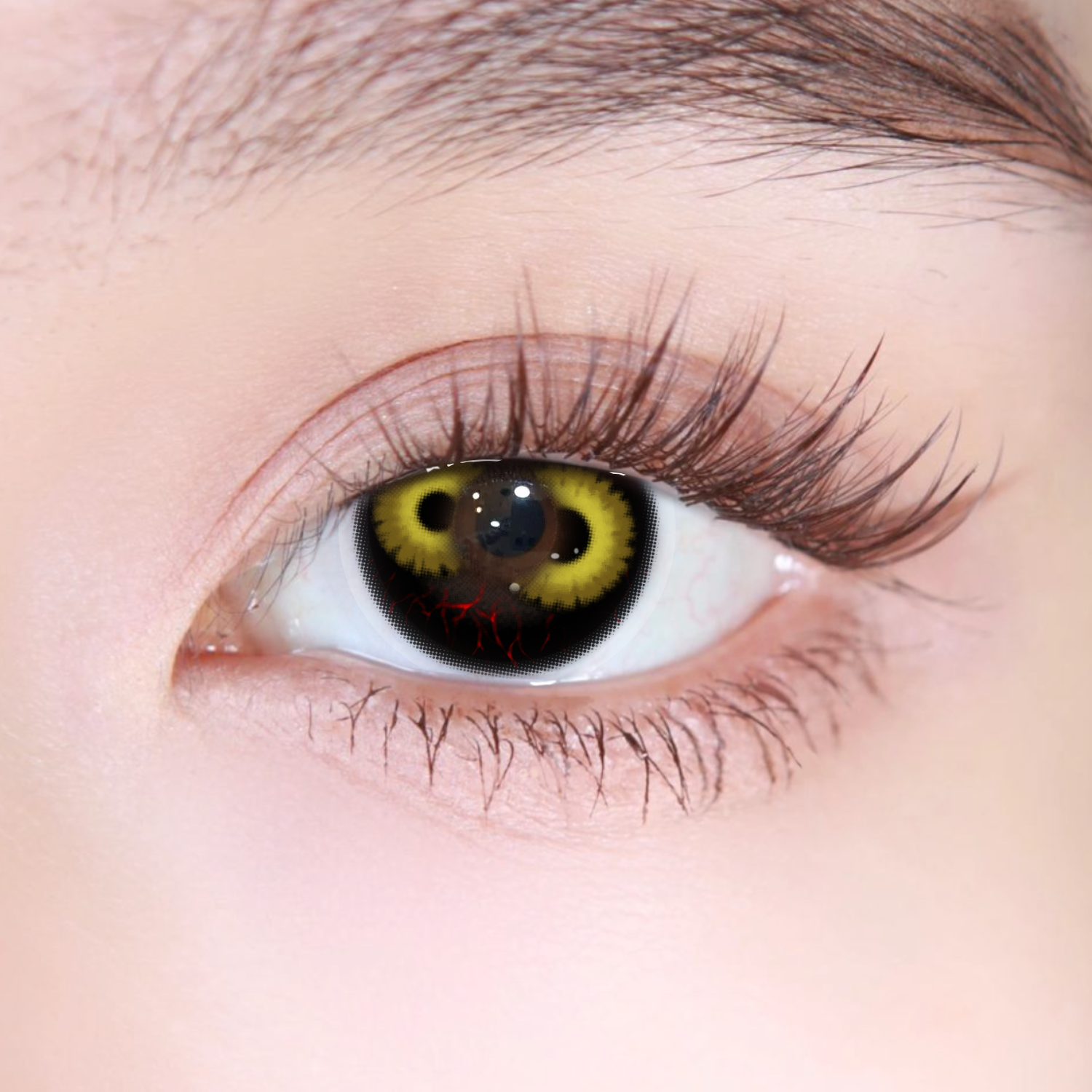 Akiwaii Dual Inferno Brown [Yearly]