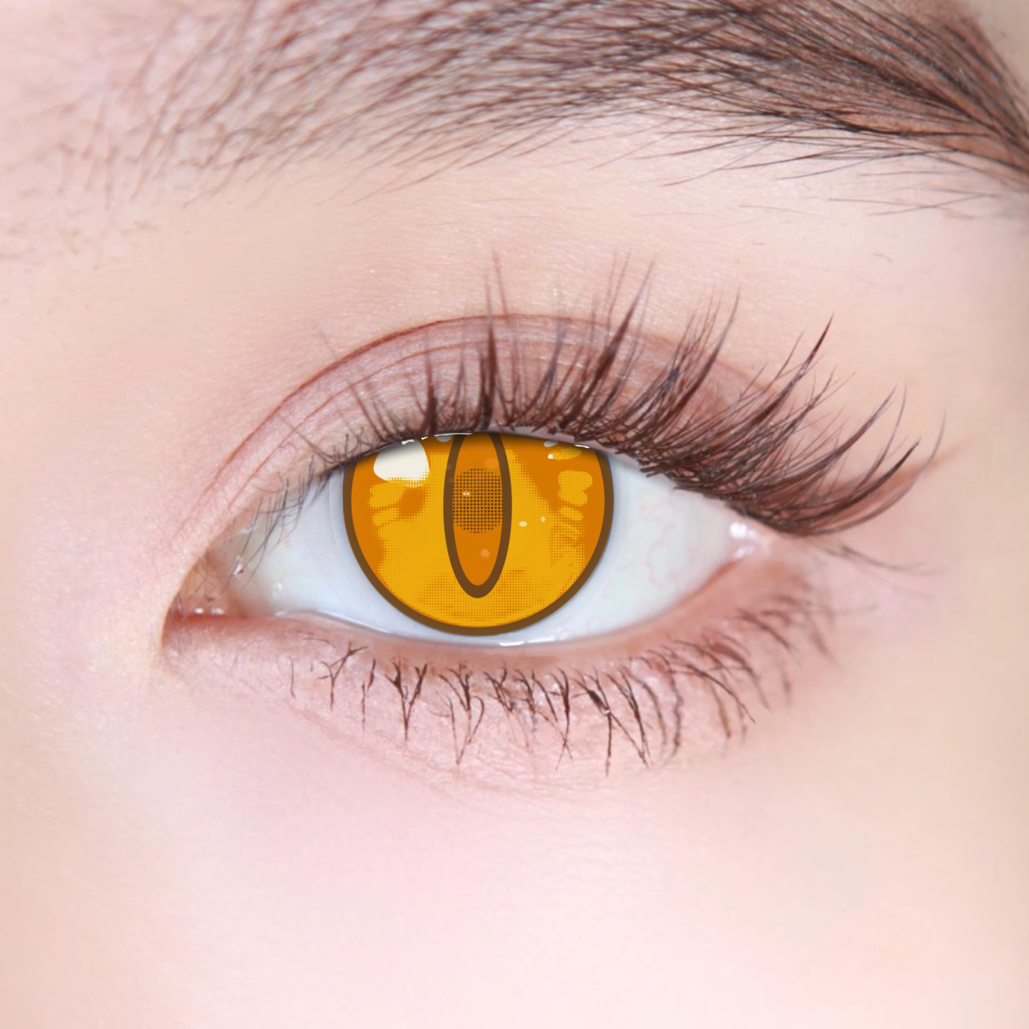 Akiwaii Frostfire Brown [Yearly]