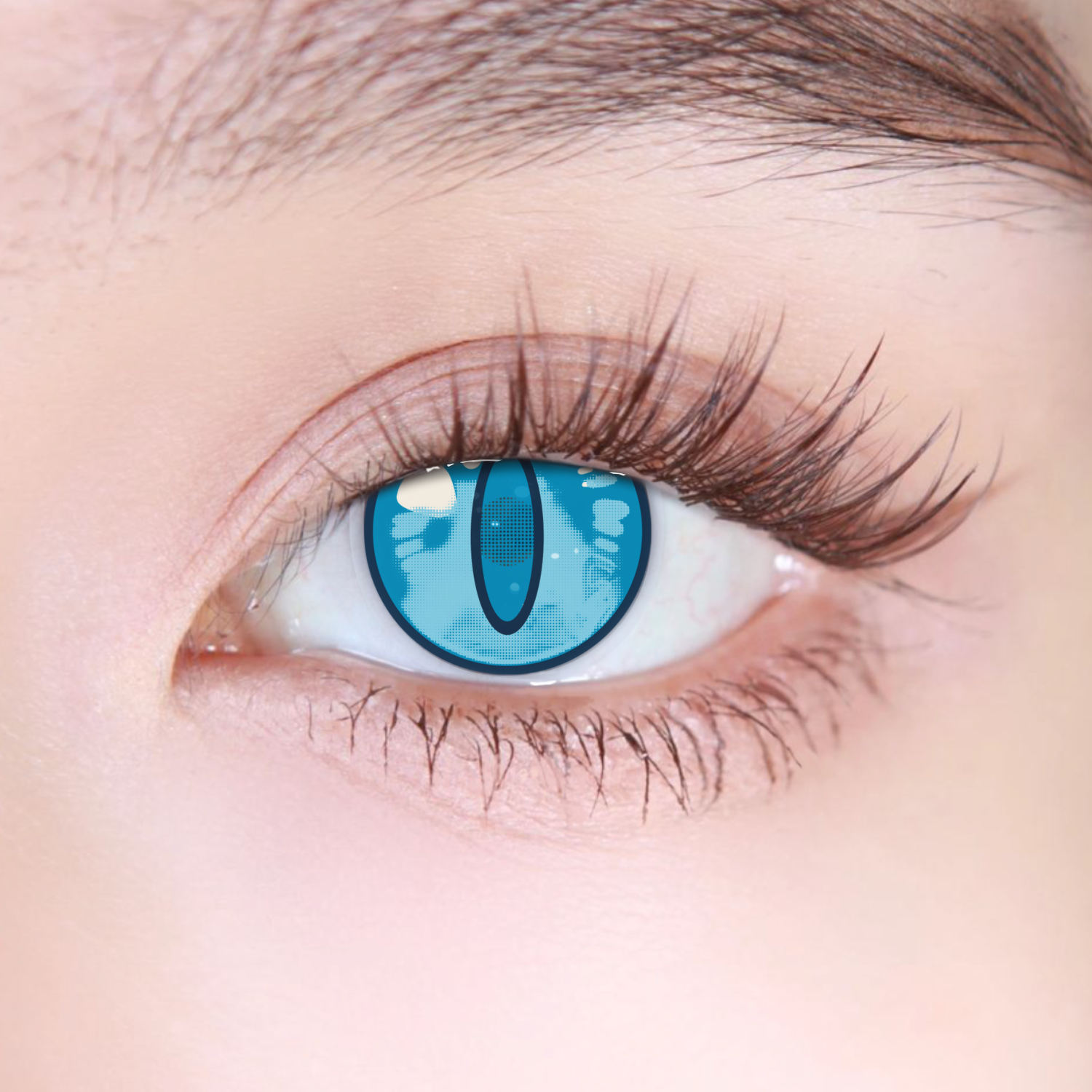 Akiwaii Frostfire Blue [Yearly]