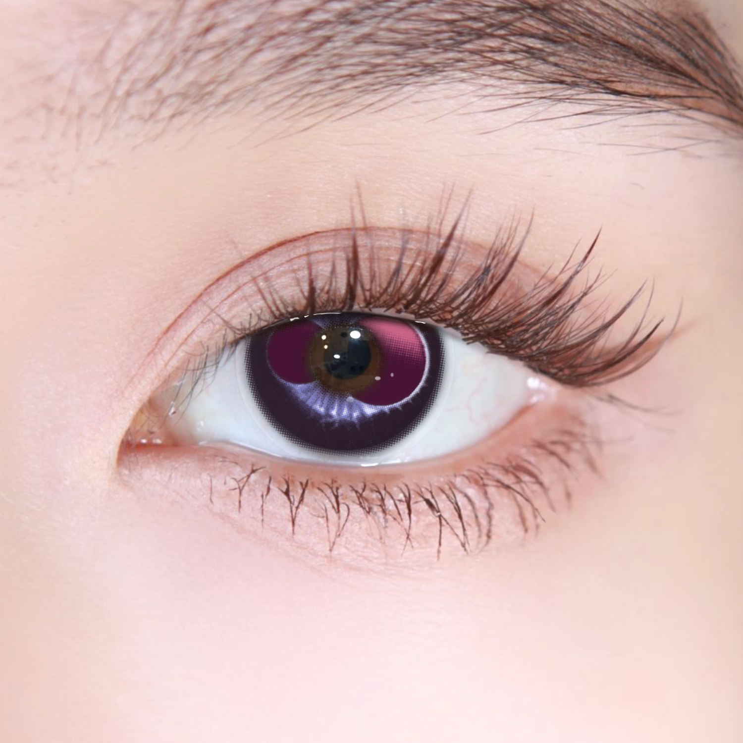 Akiwaii Dual Gaze Purple [Yearly]