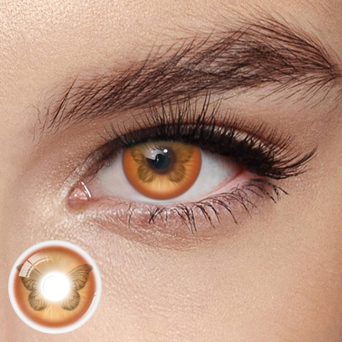 Akiwaii Galaxine Brown [Yearly]