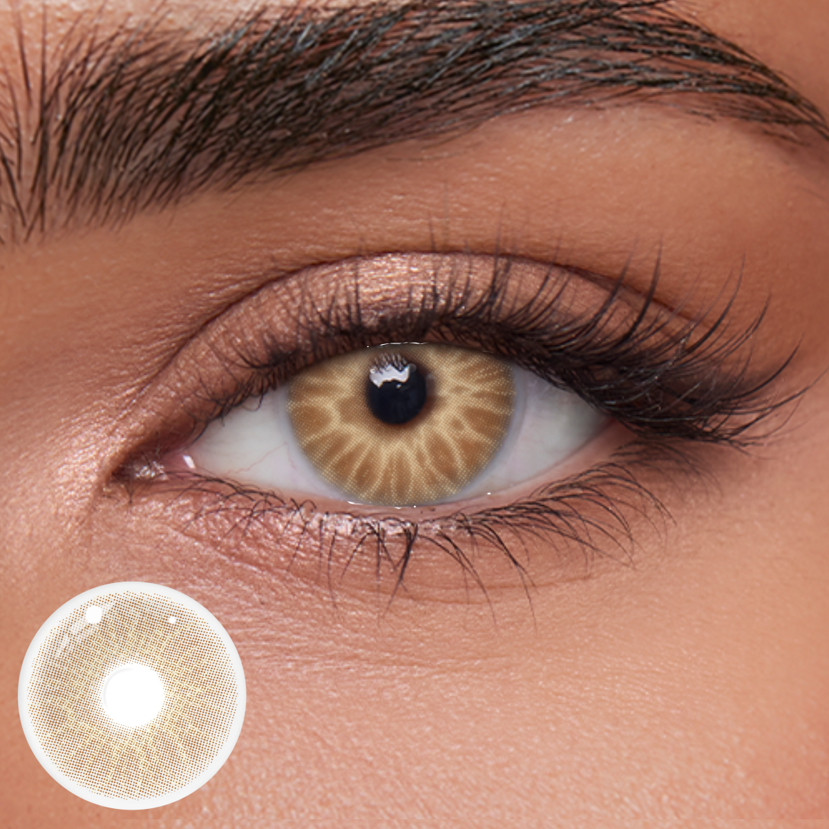 Akiwaii Velaris Brown [Yearly]