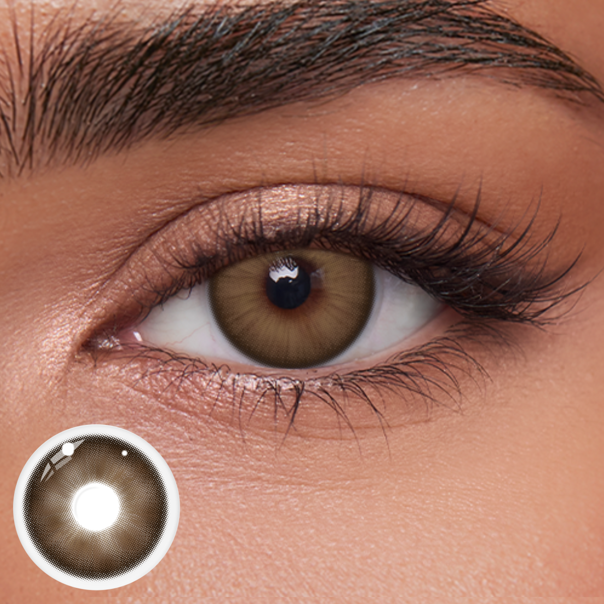 Akiwaii Fluor Chocolate [Monthly]