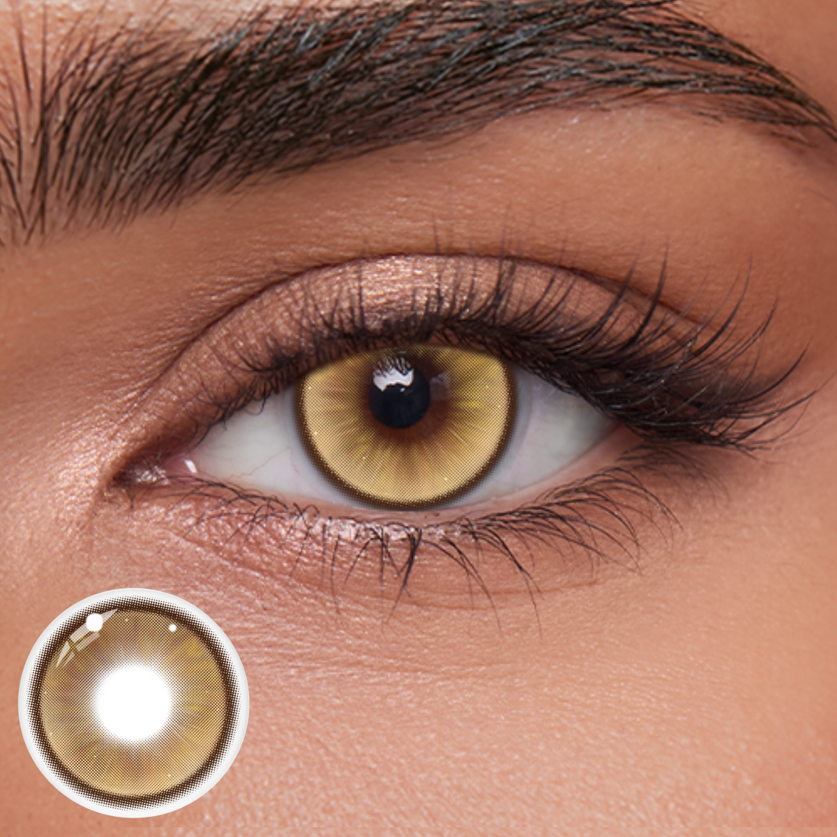 Akiwaii Vayence Brown [Yearly]