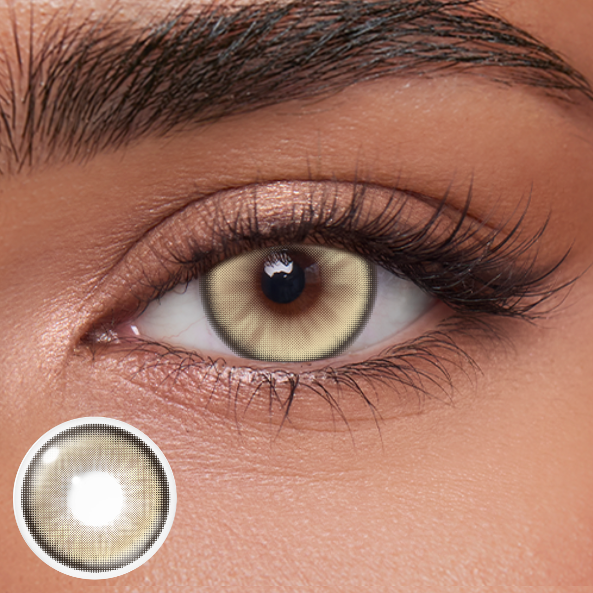 Akiwaii Moonaire Brown [Yearly]