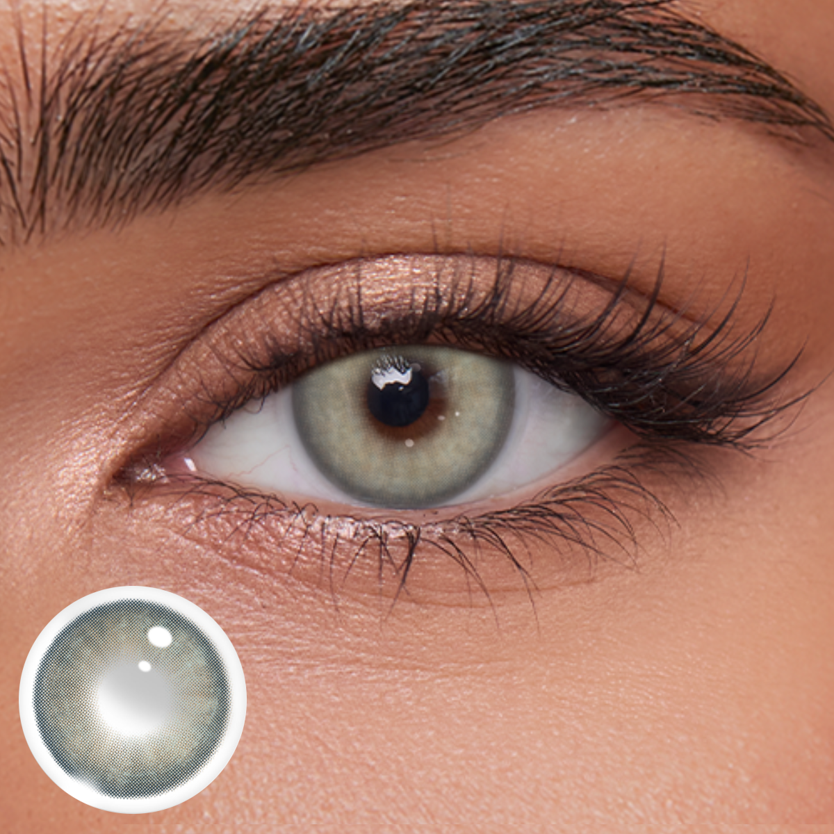 Akiwaii Rivah Blue [Yearly]