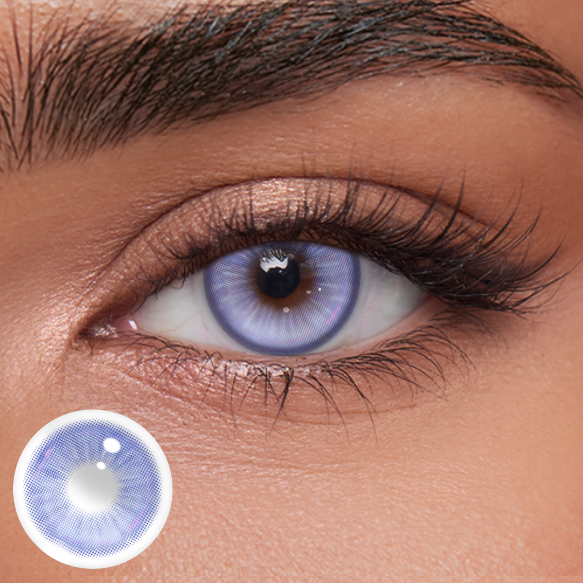 Akiwaii Sugaria Purple[Yearly]