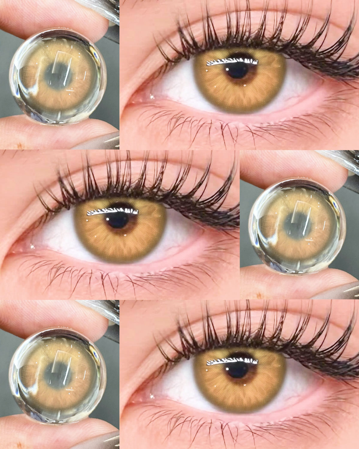 Akiwaii Faylinn Brown [Yearly]