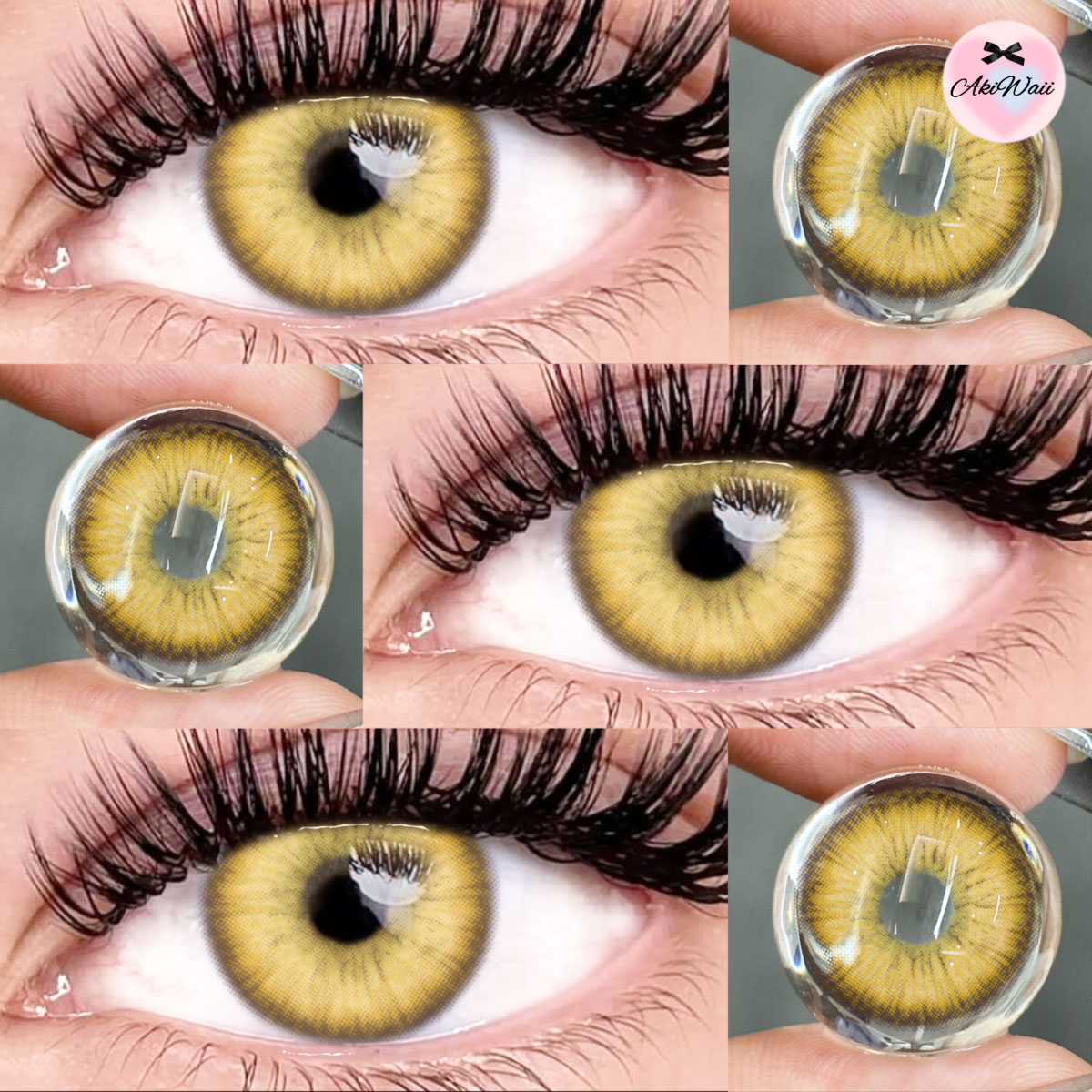 Akiwaii Magic Pop Brown [Yearly]