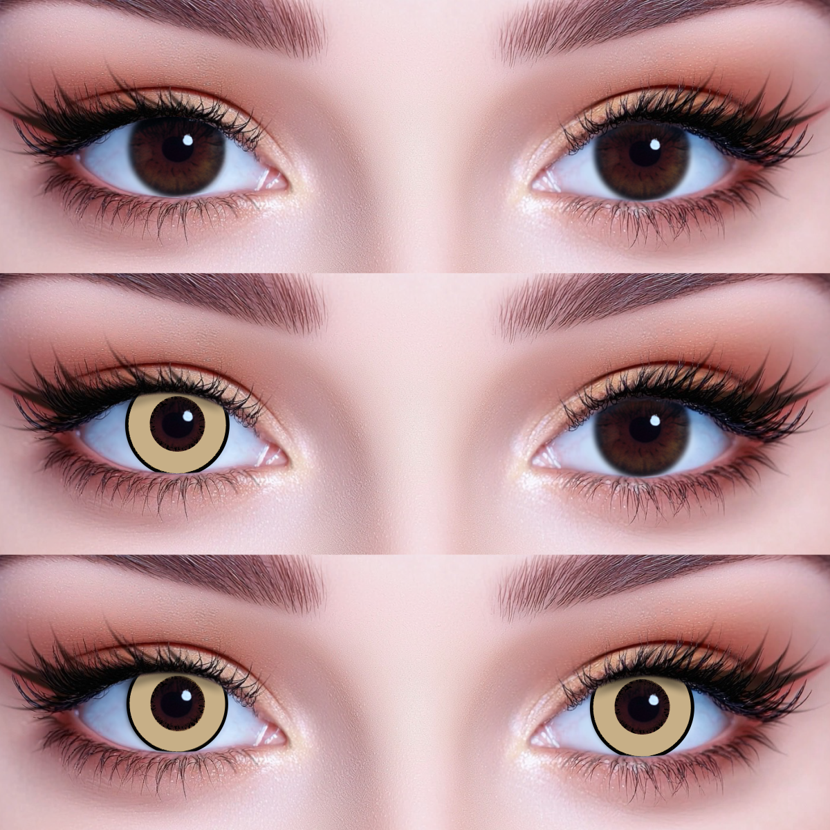 Akiwaii Magic Brown  [Yearly]