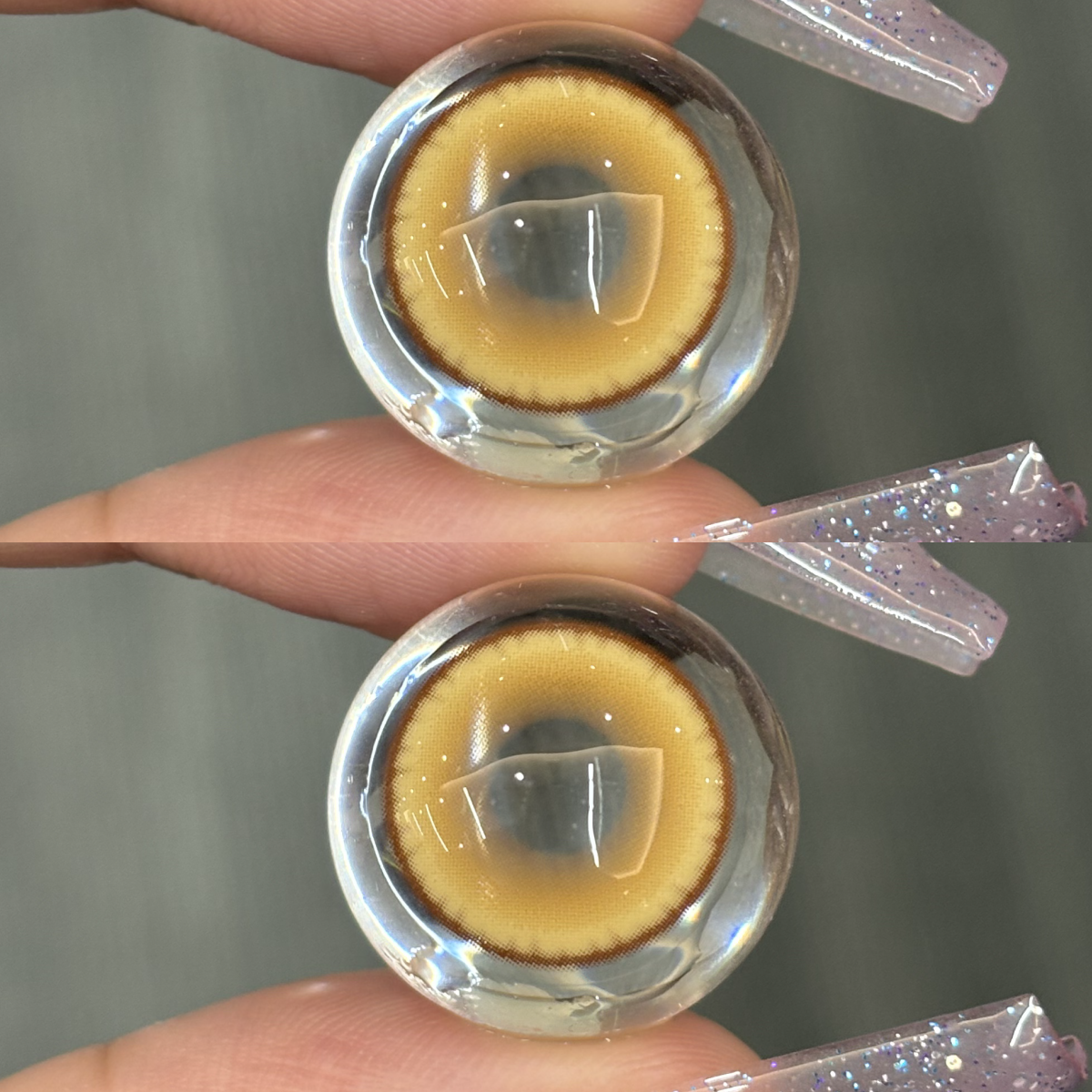 Akiwaii Stargleam Brown [6-month-wear]