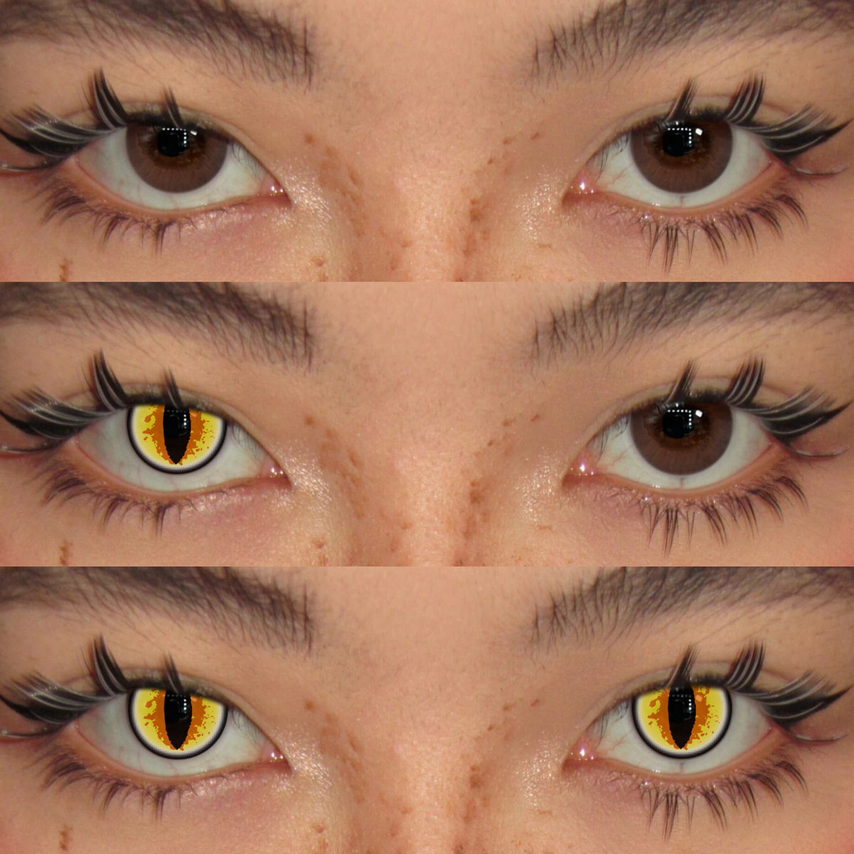Akiwaii Smaug's Eye [6-month-wear]