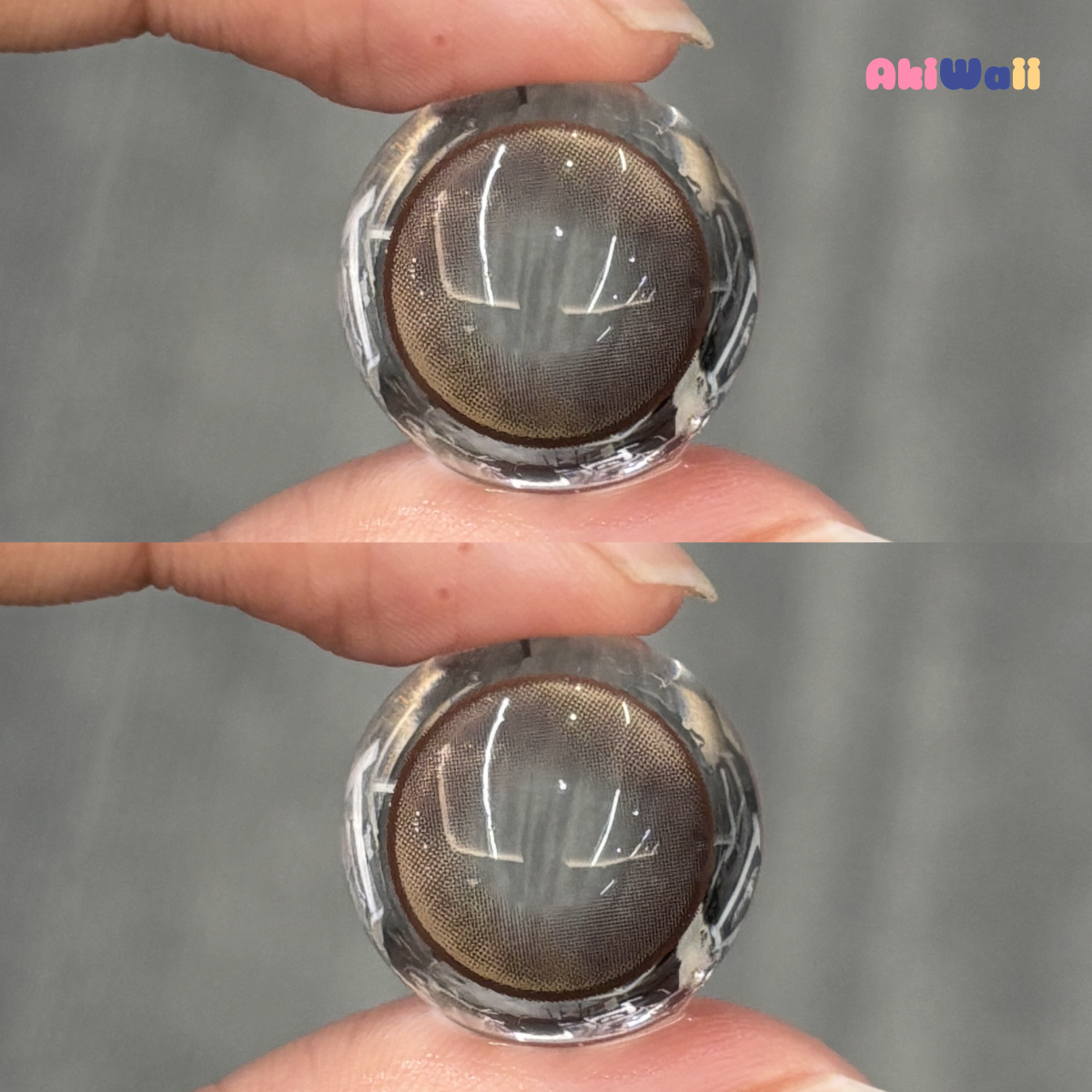 Akiwaii Holois Brown[Yearly]