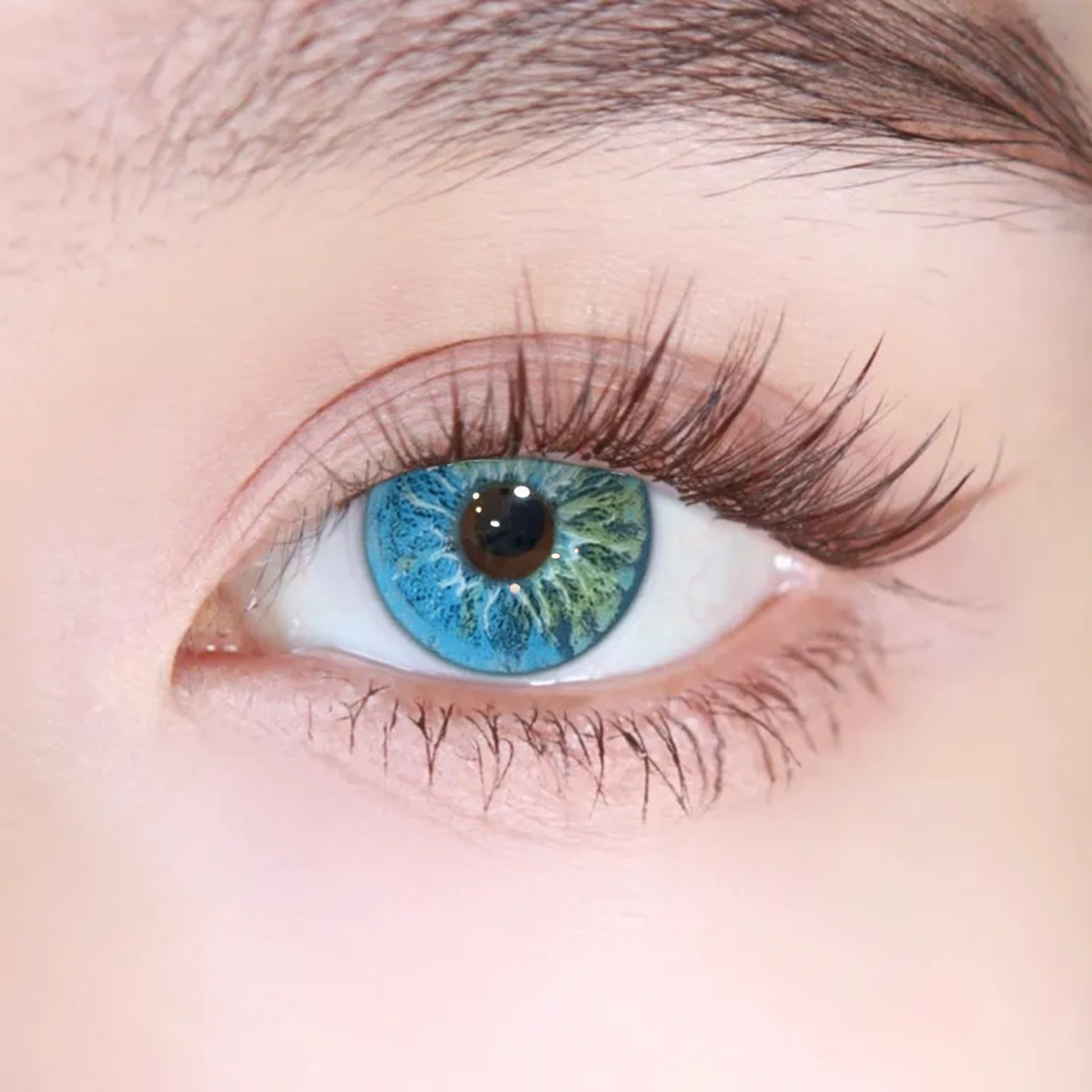 Akiwaii Orbit Blue[Yearly]