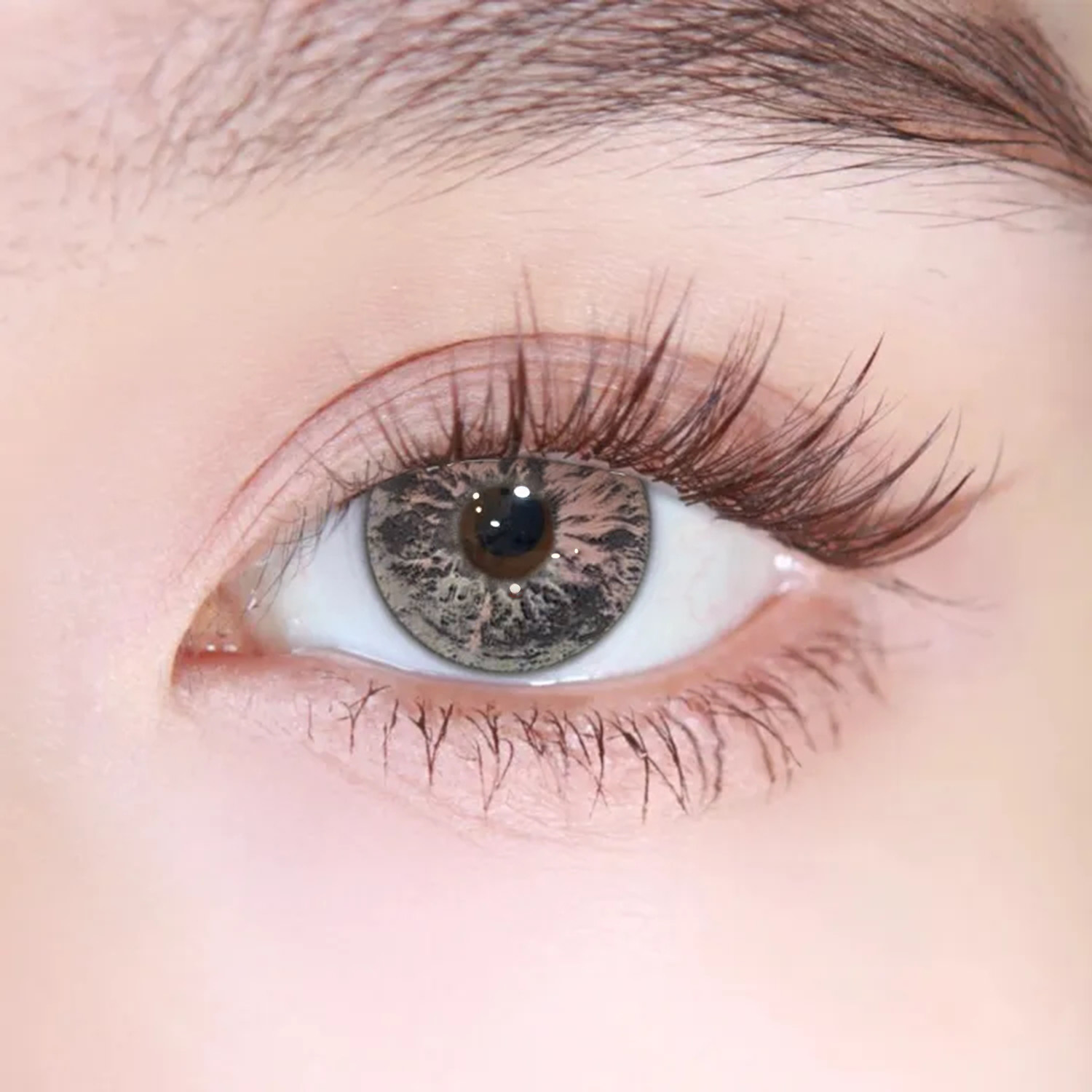 Akiwaii Orbit Grey[6-Month Wear]