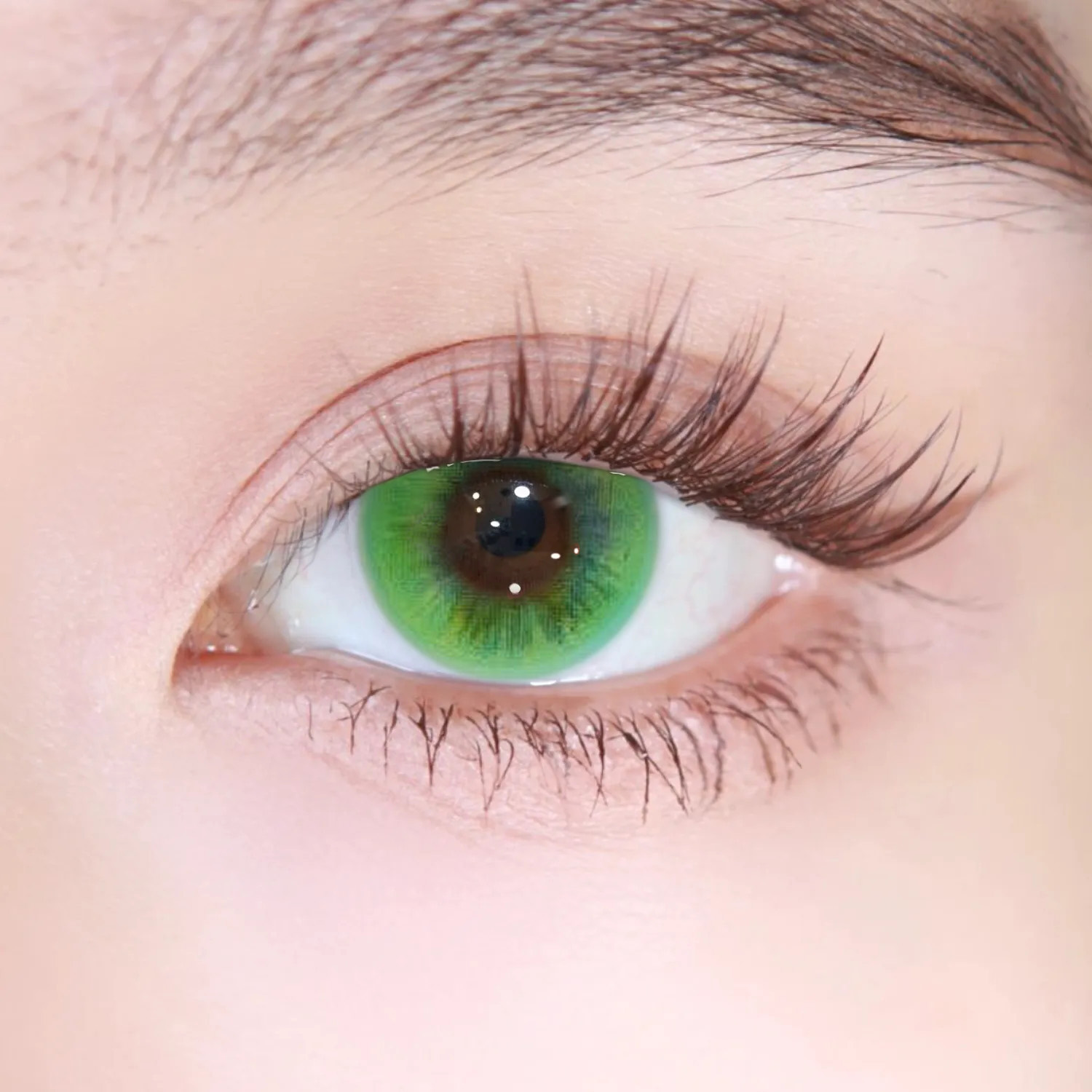 Akiwaii Limora Green[Yearly]