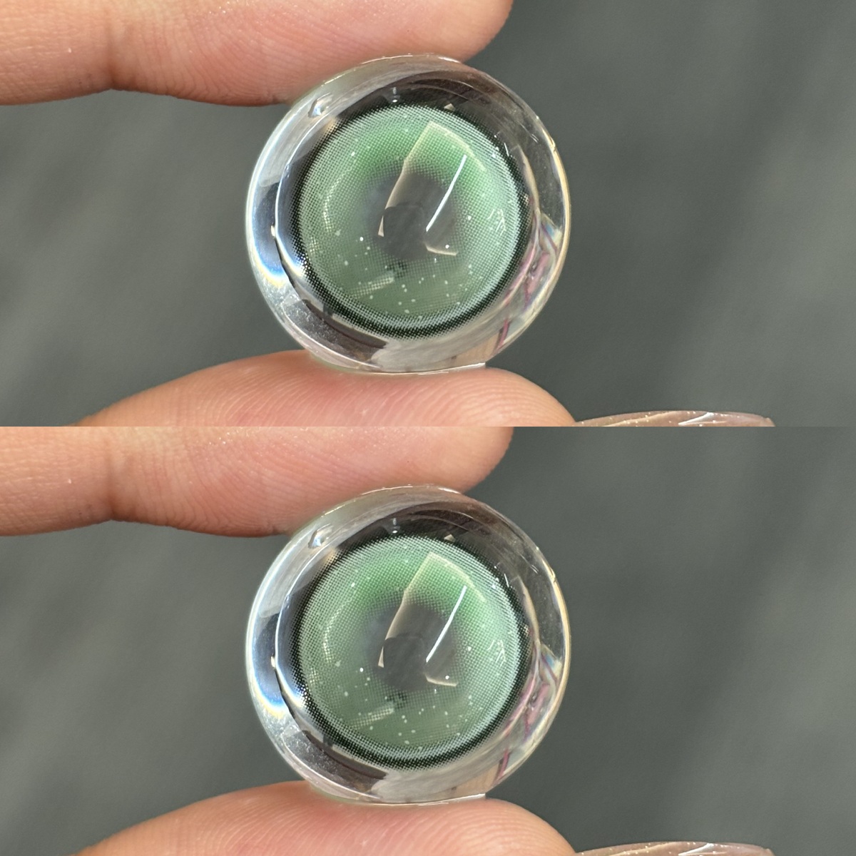 Akiwaii Tinsel Green [Yearly]