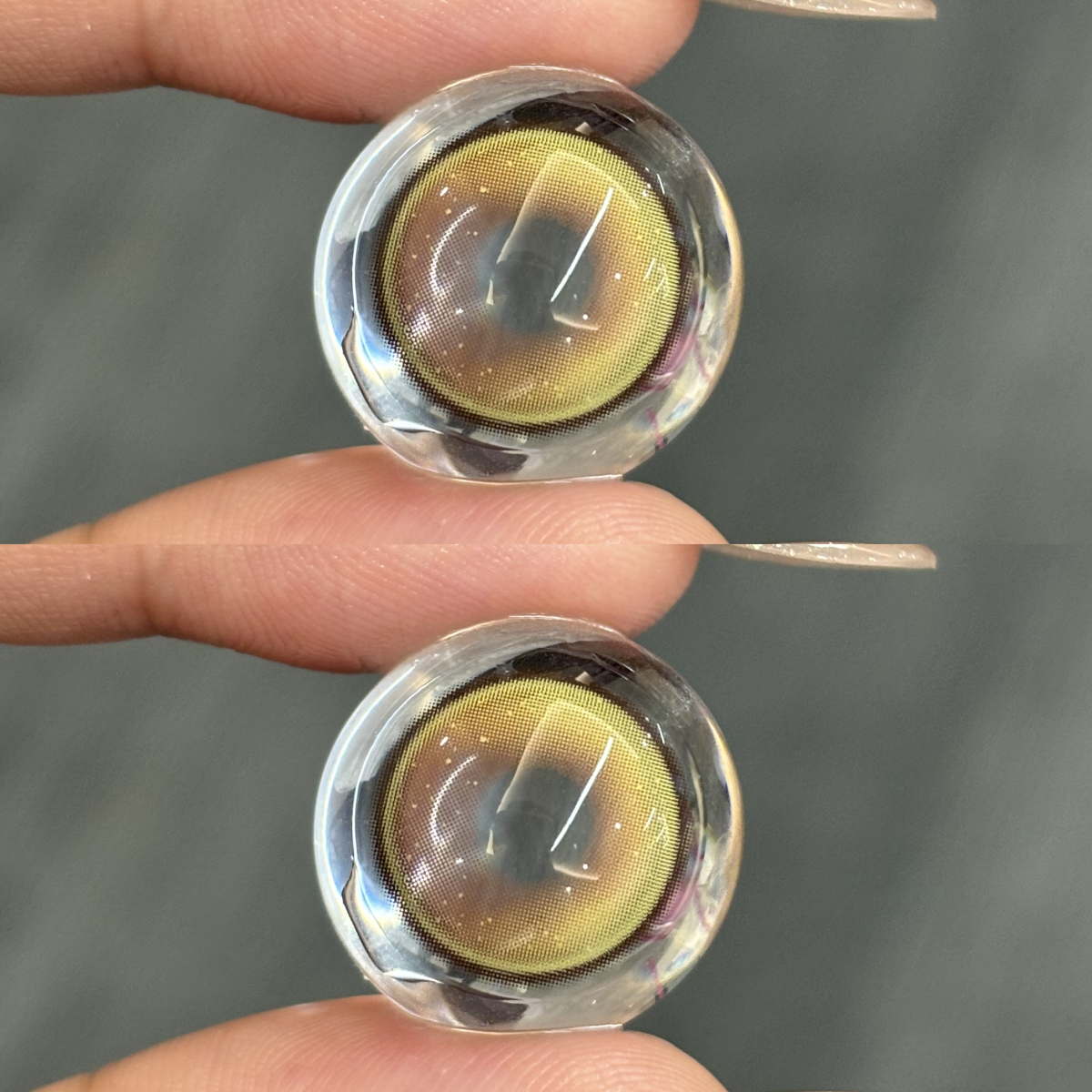 Akiwaii Tinsel Brown [6-month-wear]