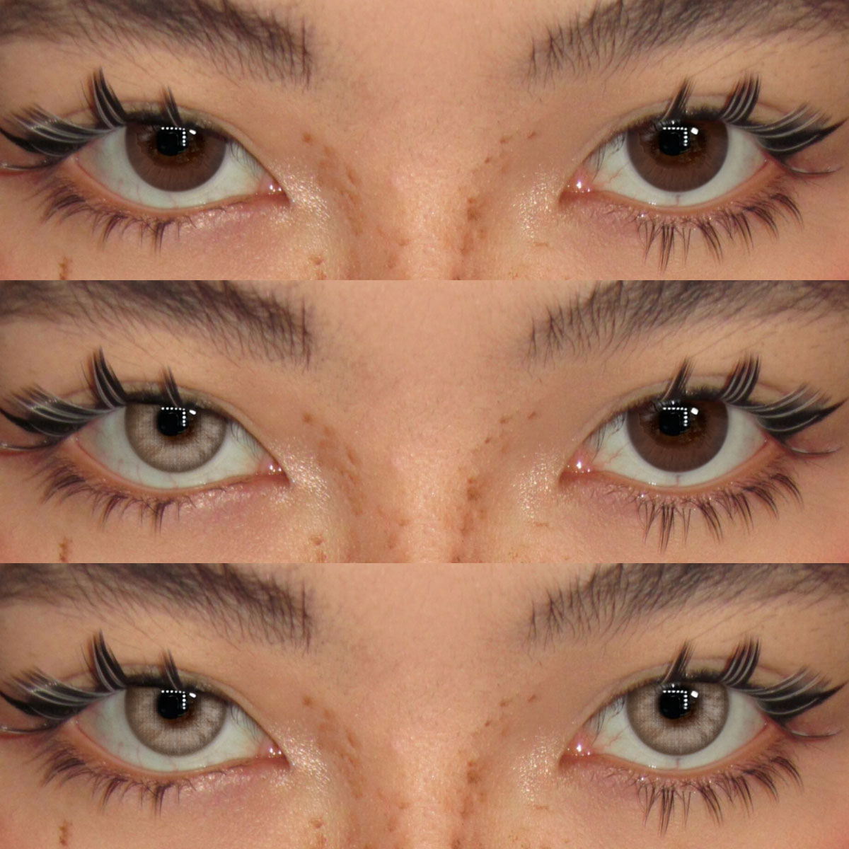 Akiwaii Ilyra Brown [Yearly]