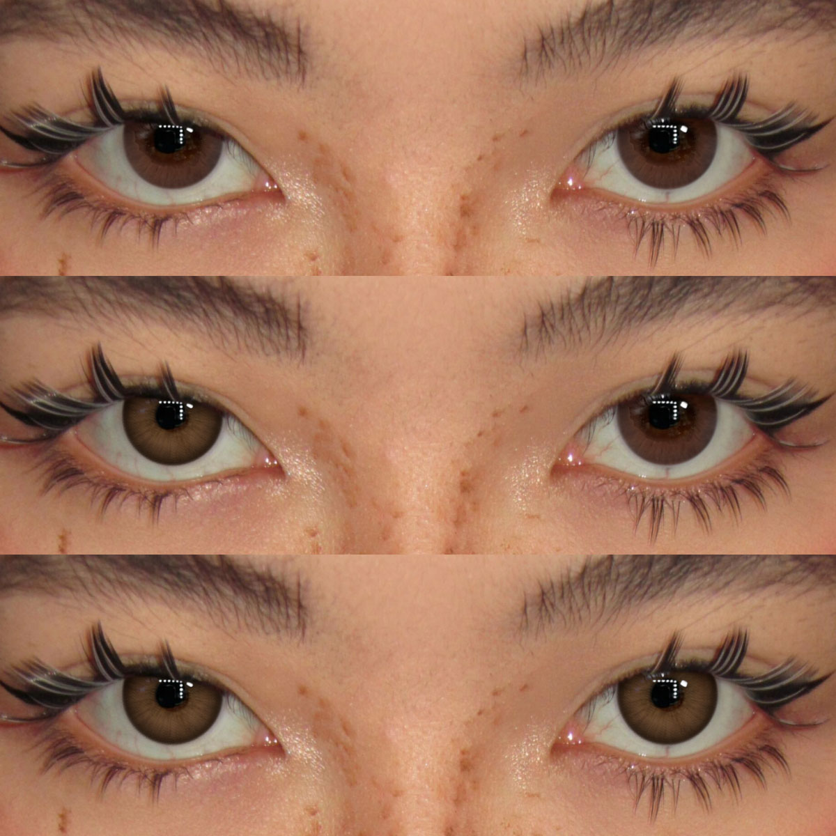 Akiwaii Fluor Chocolate [Yearly]