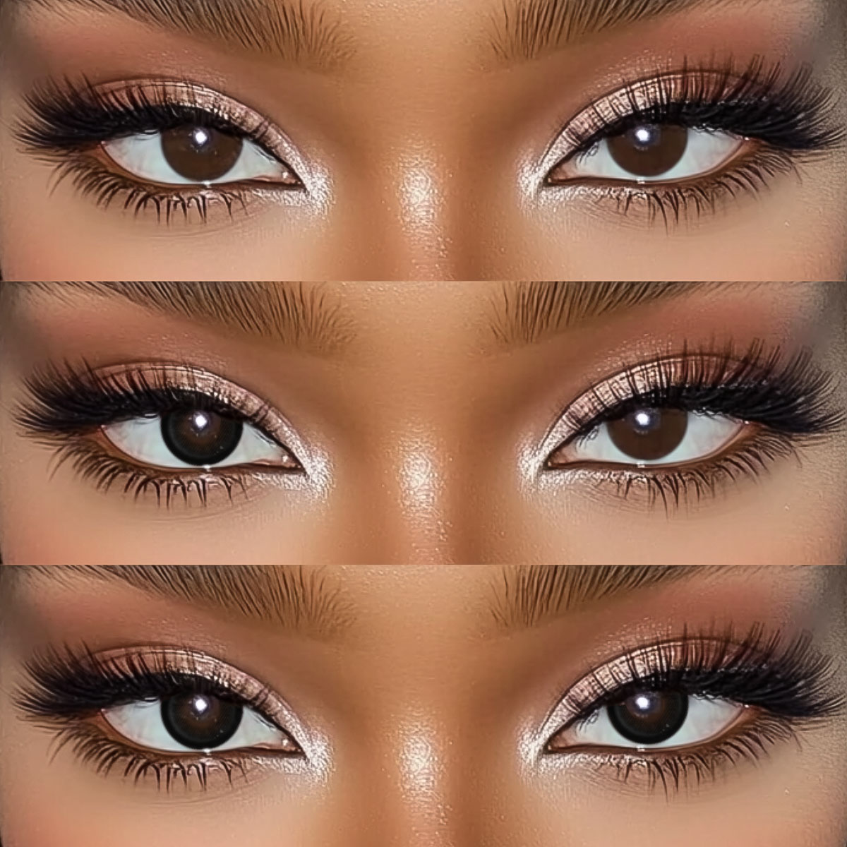 Akiwaii Prismora Black [Yearly]