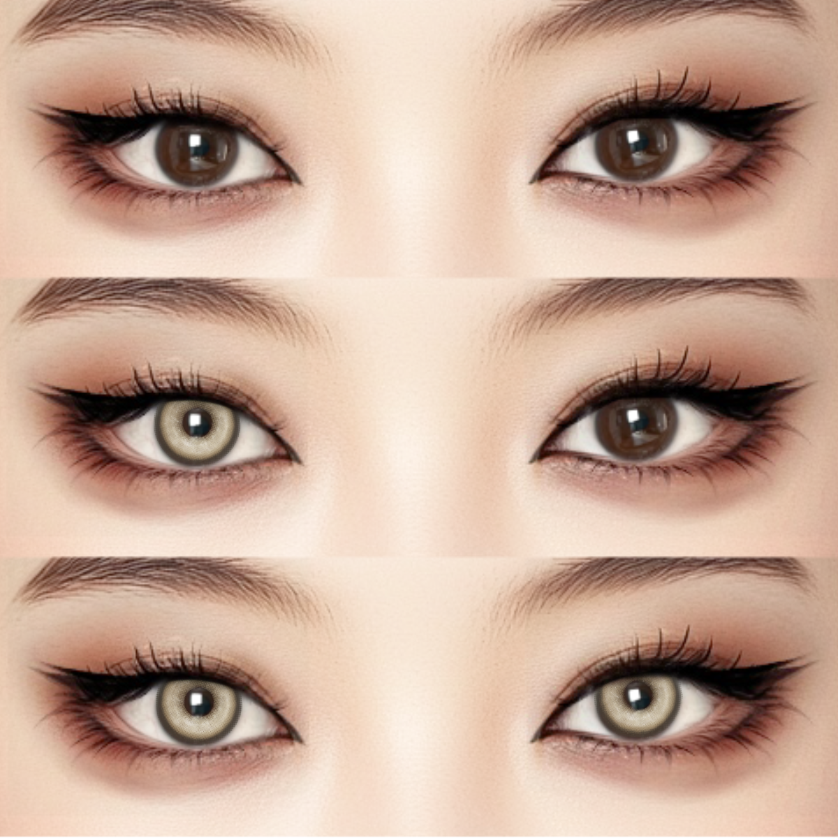 Akiwaii Koi Chocolate [Yearly]