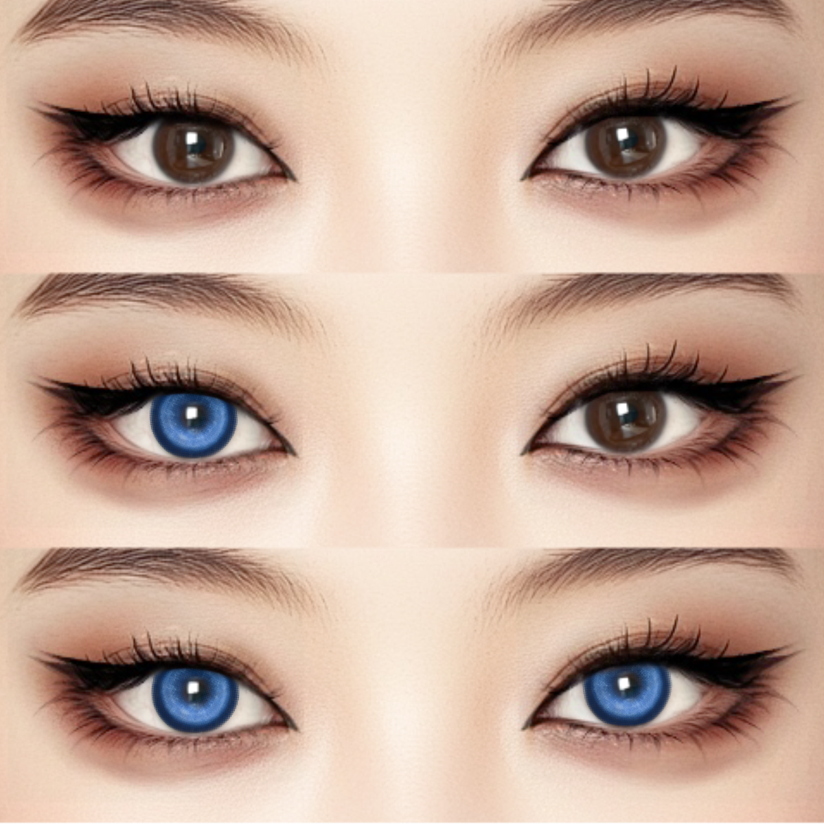 Akiwaii Koi Dark Blue [Yearly]