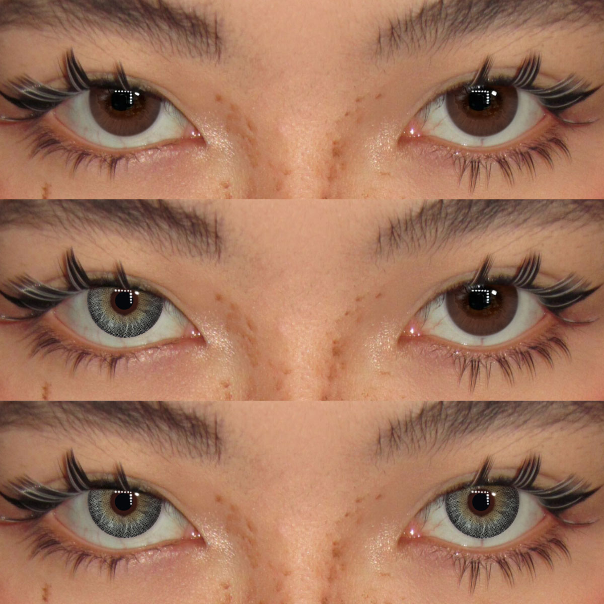 Akiwaii Chaique Green [Yearly]